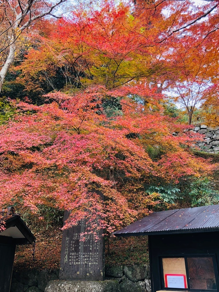 nicanさんが投稿した正暦寺に関する口コミの画像