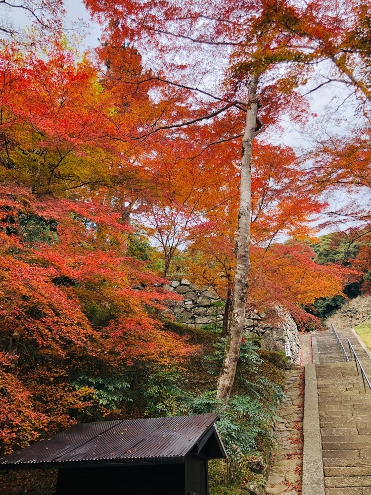 nicanさんが投稿した正暦寺に関する口コミの画像