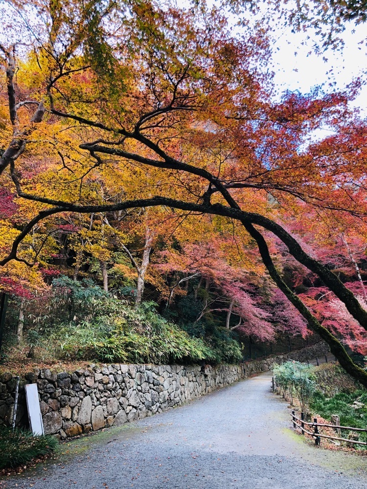 nicanさんが投稿した正暦寺に関する口コミの画像