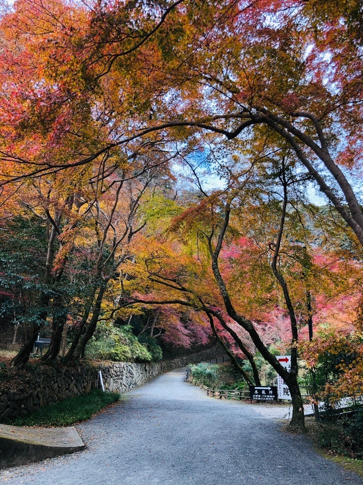 nicanさんが投稿した正暦寺に関する口コミの画像