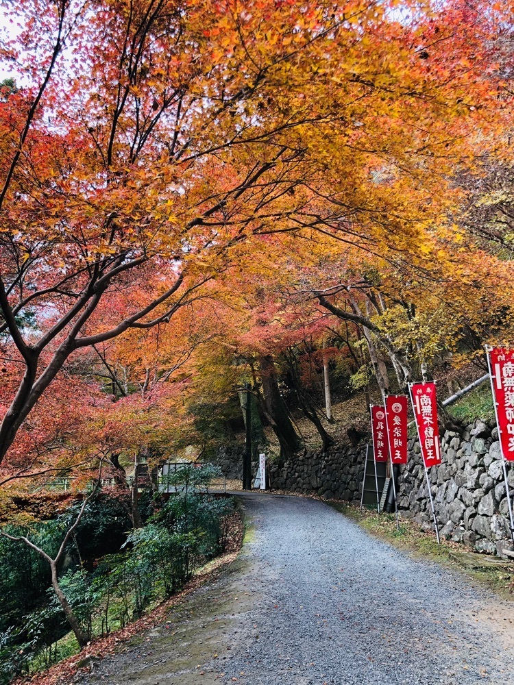 nicanさんが投稿した正暦寺に関する口コミの画像