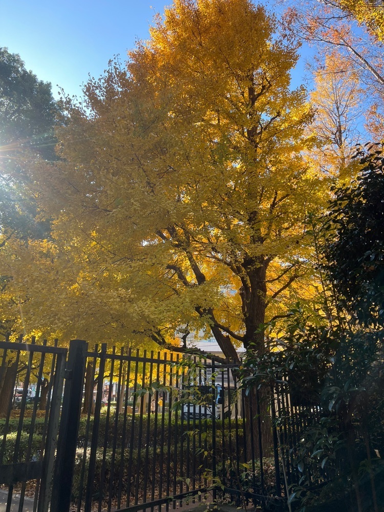 🤎アイヒンまま🤎さんが投稿したアルベロ ネロ（Albero Nero）に関する口コミの画像