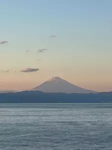 パームビーチ