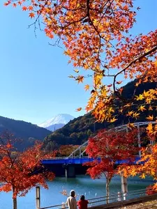 丹沢湖