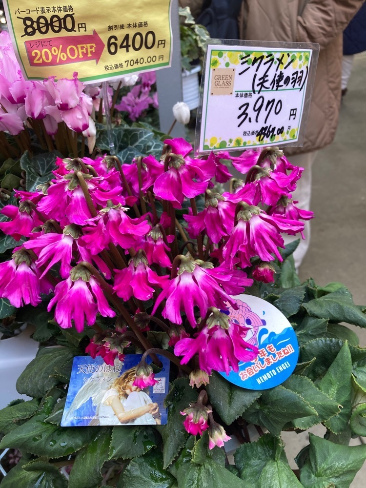 delicious_museum_7212さんが投稿したエスポット 小田原シティーモール店に関する口コミの画像