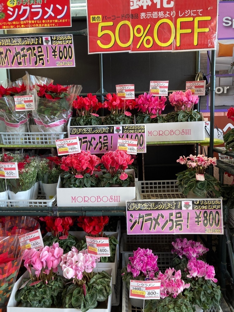 delicious_museum_7212さんが投稿したエスポット 小田原シティーモール店に関する口コミの画像