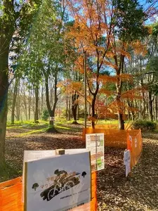 宇都宮市森林公園