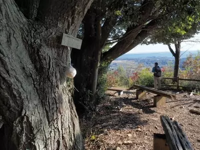 普門寺自然歩道