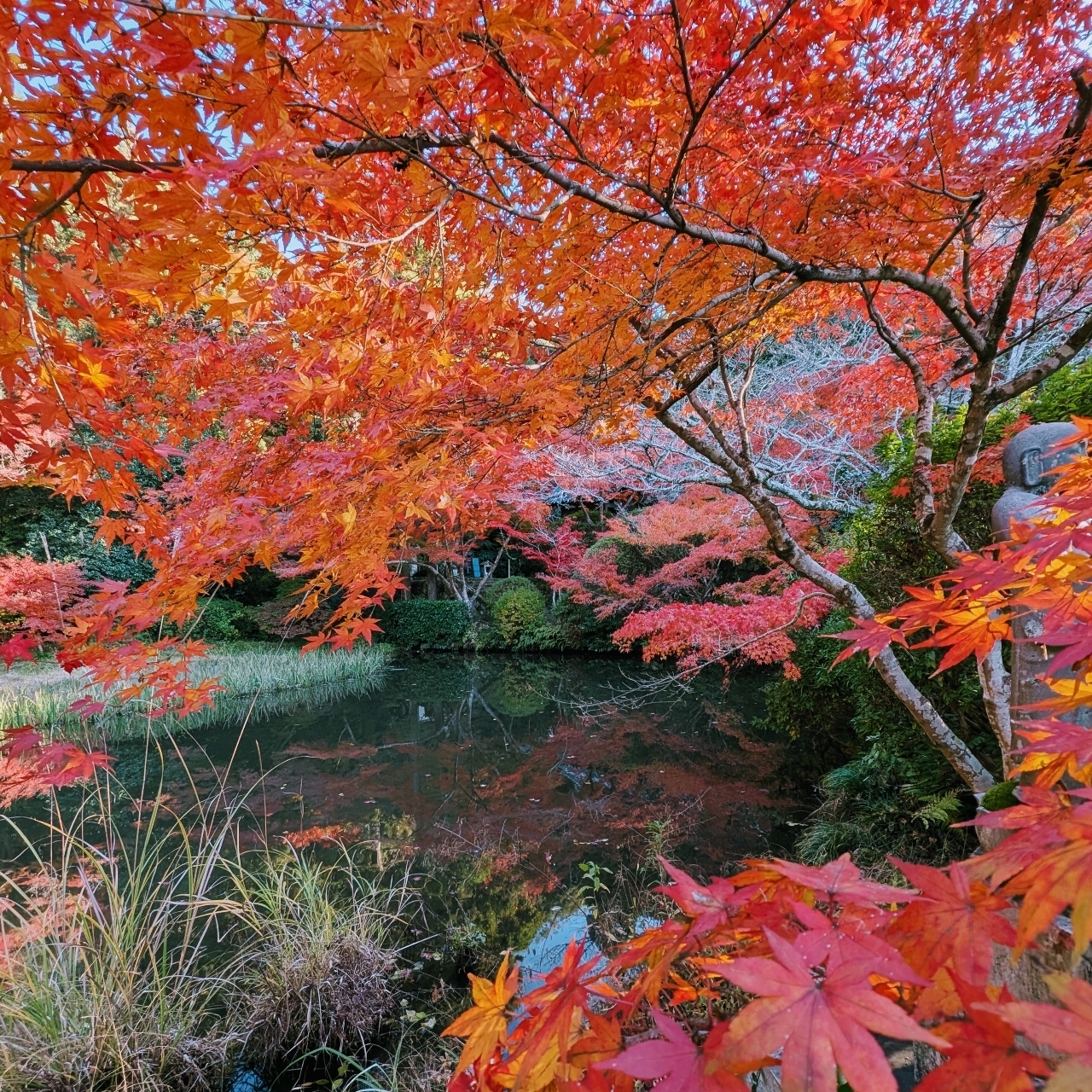 ぬっくさんが投稿した長岳寺に関する口コミの画像