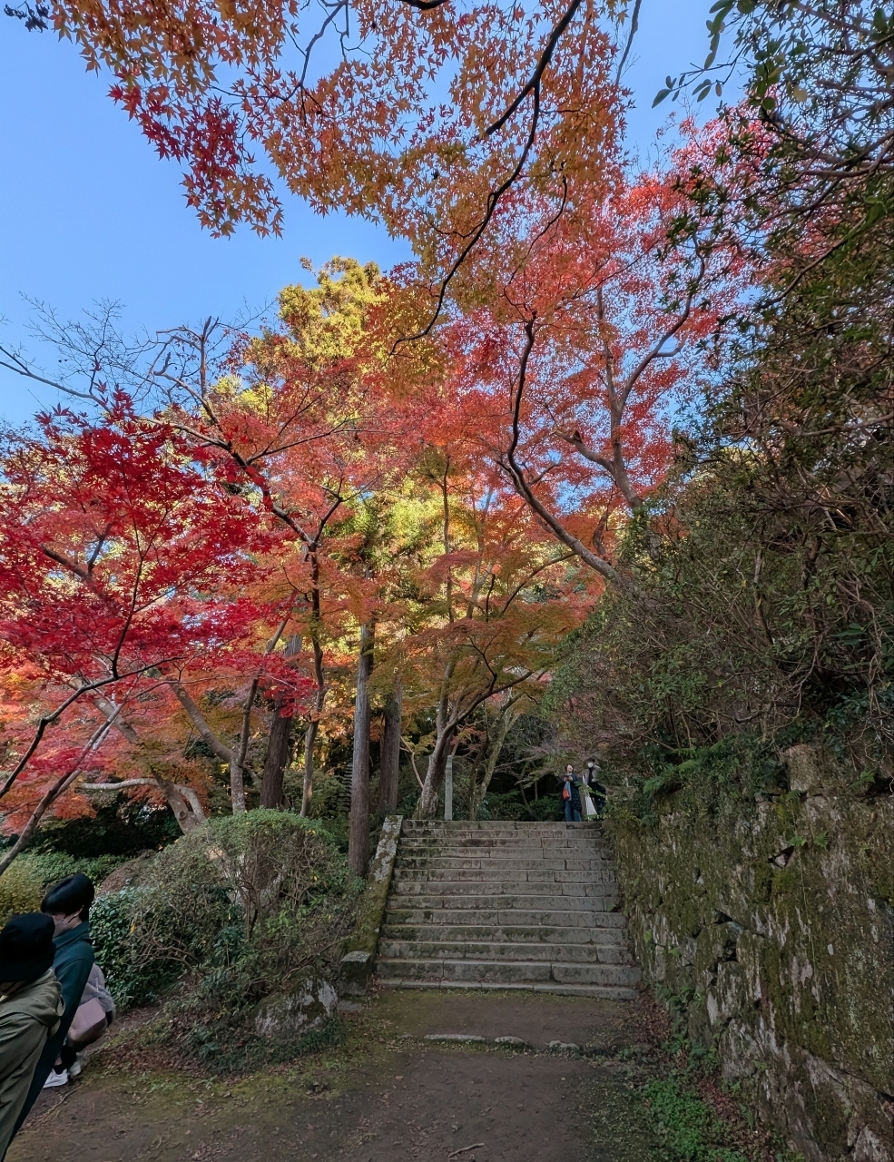 ぬっくさんが投稿した長岳寺に関する口コミの画像