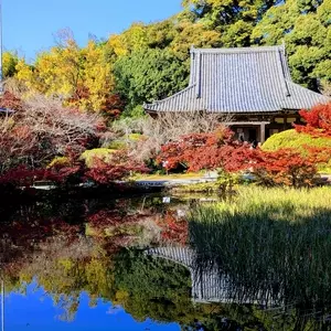 長岳寺（ちょうがくじ）