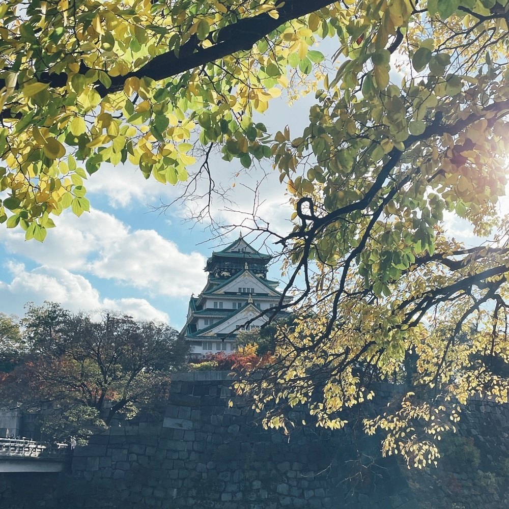 Danjouさんが投稿した大阪城本陣に関する口コミの画像