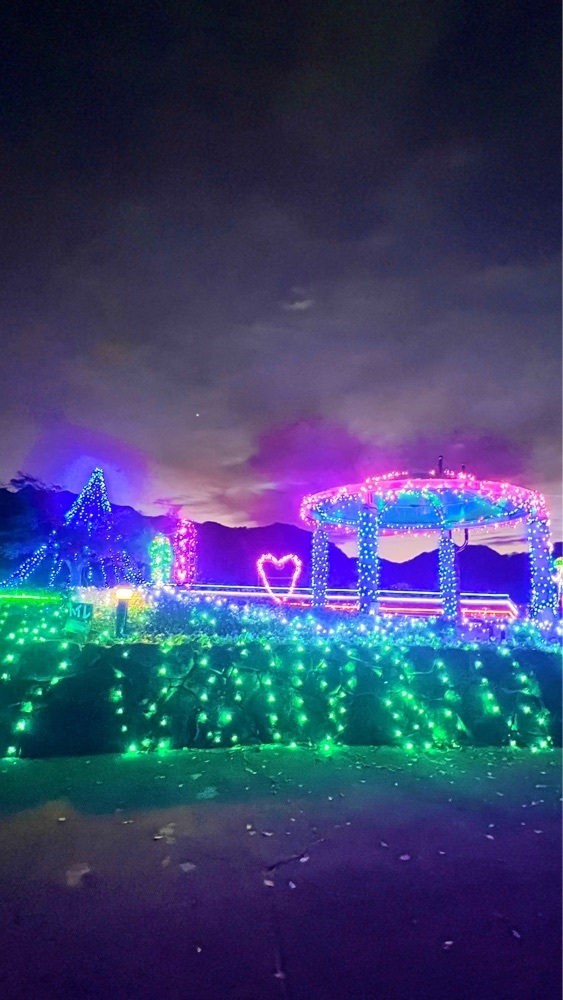 miiさんが投稿した県立相模湖公園に関する口コミの画像