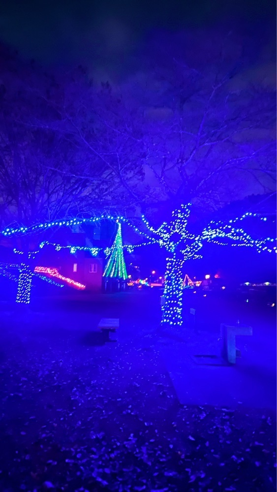 miiさんが投稿した県立相模湖公園に関する口コミの画像