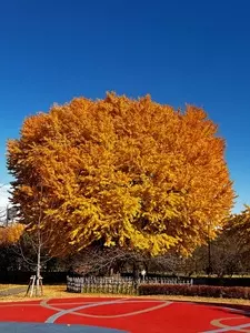 平塚市総合公園 ふれあい動物園 1枚目