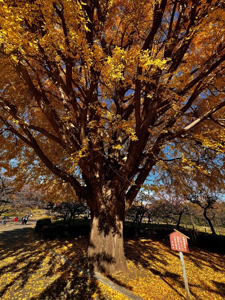 ビンカさんが投稿した平塚市総合公園 ふれあい動物園に関する口コミの画像