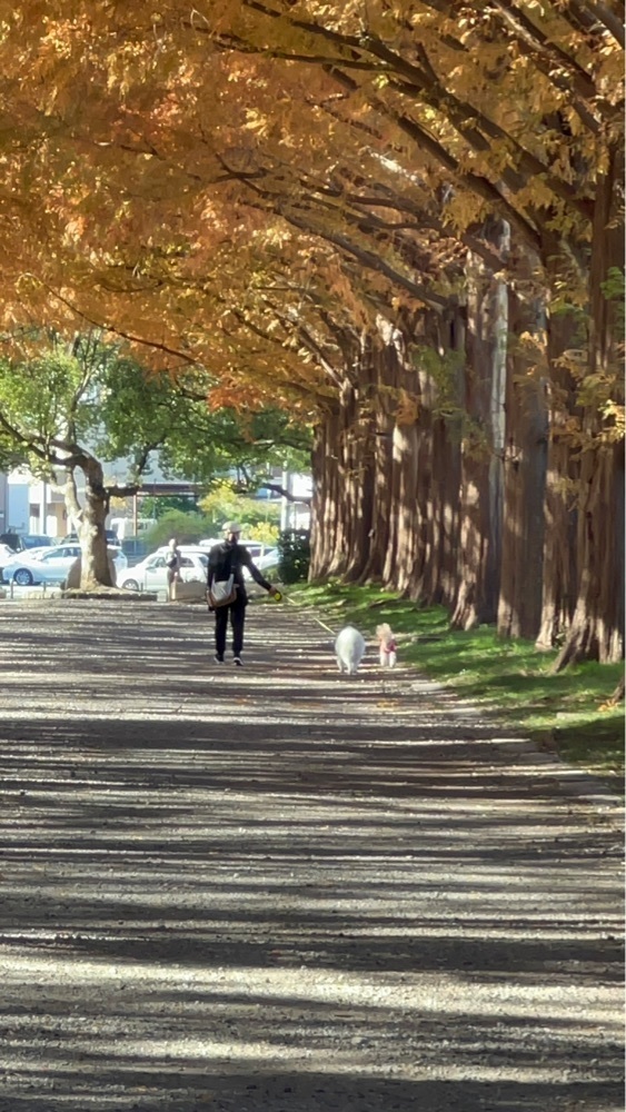 ビンカさんが投稿した平塚市総合公園 ふれあい動物園に関する口コミの画像