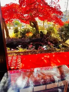蓑毛自然観察の森
