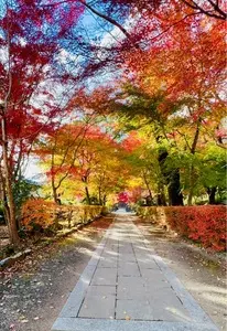 大日堂