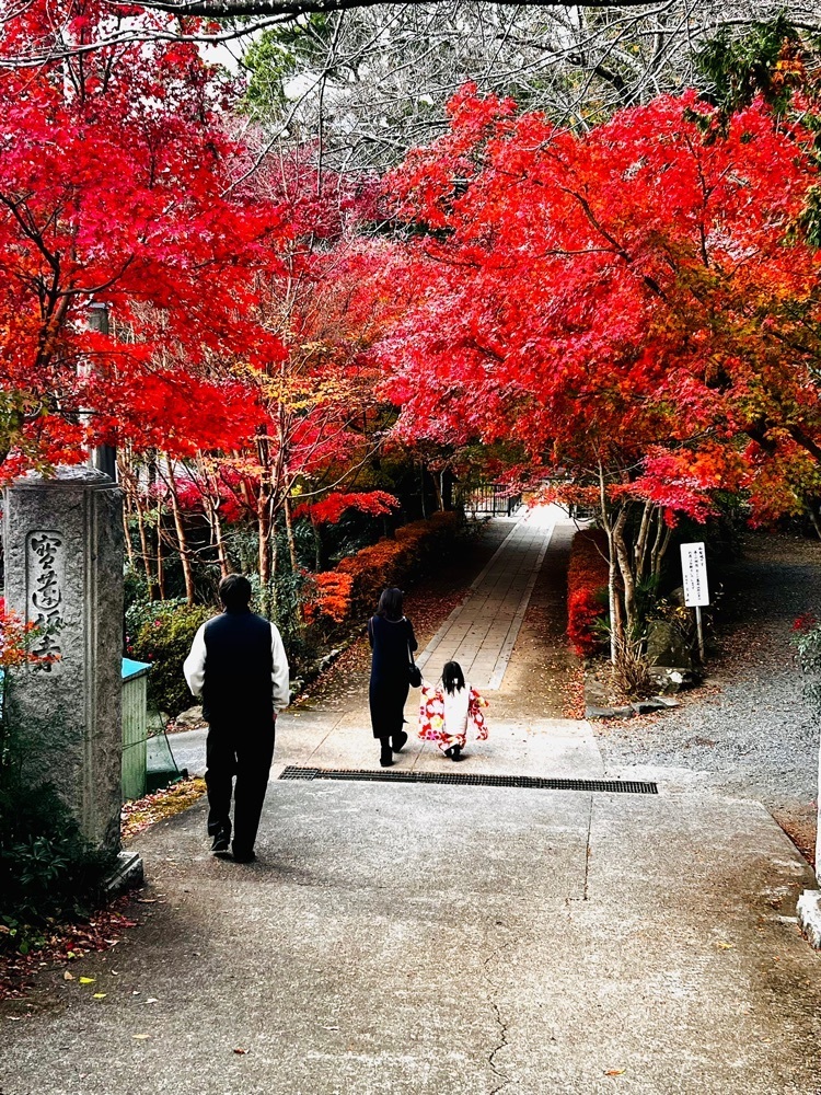 ビンカさんが投稿した大日堂に関する口コミの画像