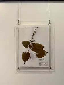 富岡市立妙義ふるさと美術館