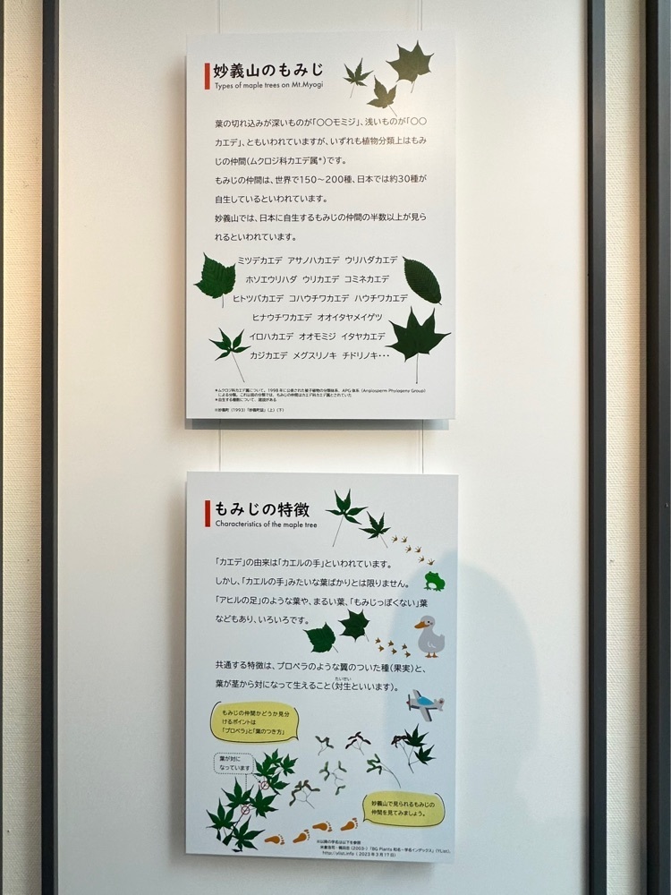 からっ風②さんが投稿した富岡市立妙義ふるさと美術館に関する口コミの画像
