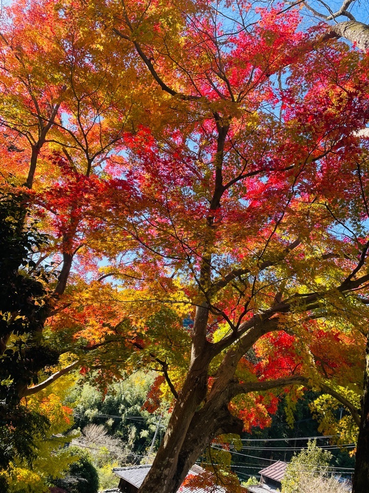 hirokororinさんが投稿した法華寺に関する口コミの画像