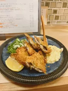 コNOコNOコ