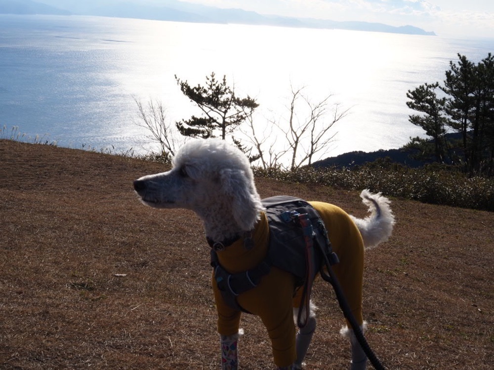 Howl Monさんが投稿した浜石岳に関する口コミの画像