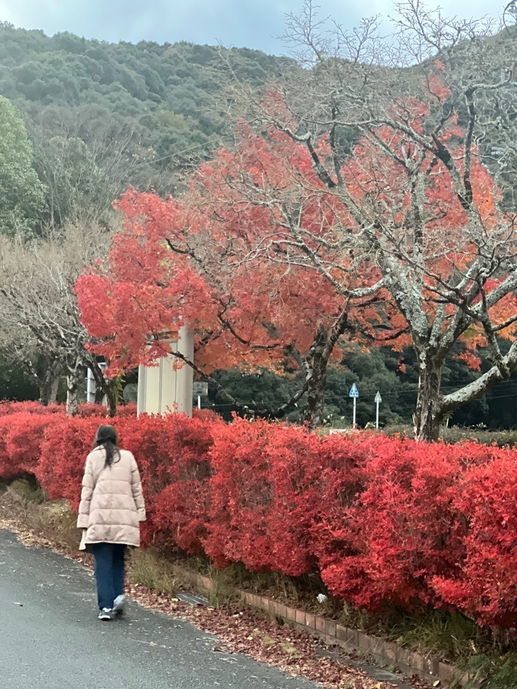 r_Rhapsodyさんが投稿した亀川ダムに関する口コミの画像