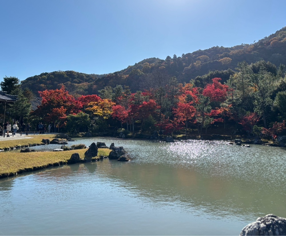 みーなさんが投稿した天龍寺の紅葉に関する口コミの画像