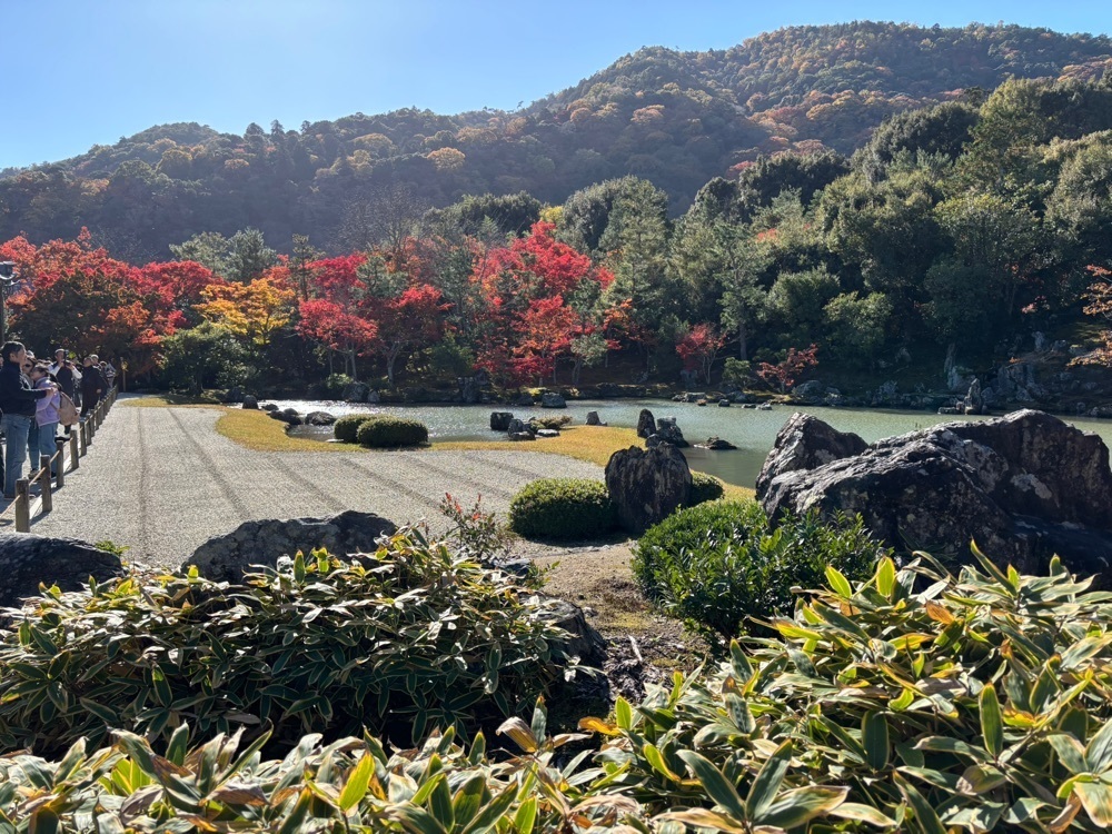 みーなさんが投稿した天龍寺の紅葉に関する口コミの画像