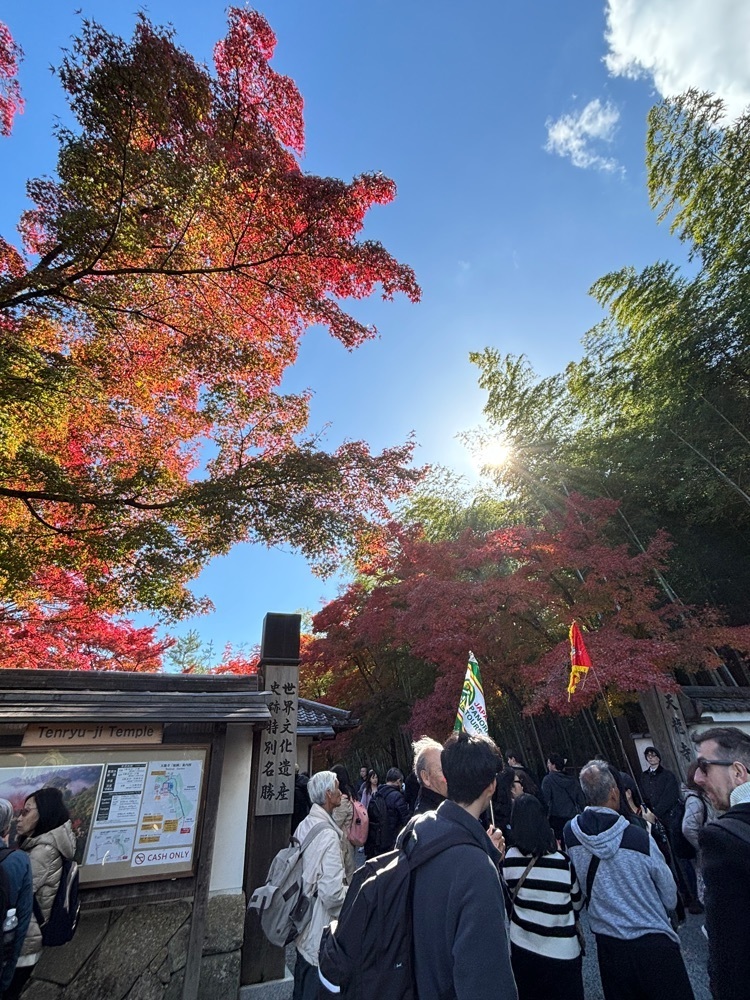 みーなさんが投稿した天龍寺の紅葉に関する口コミの画像
