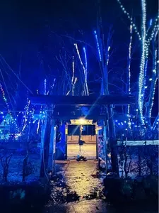 浅舞のケヤキ