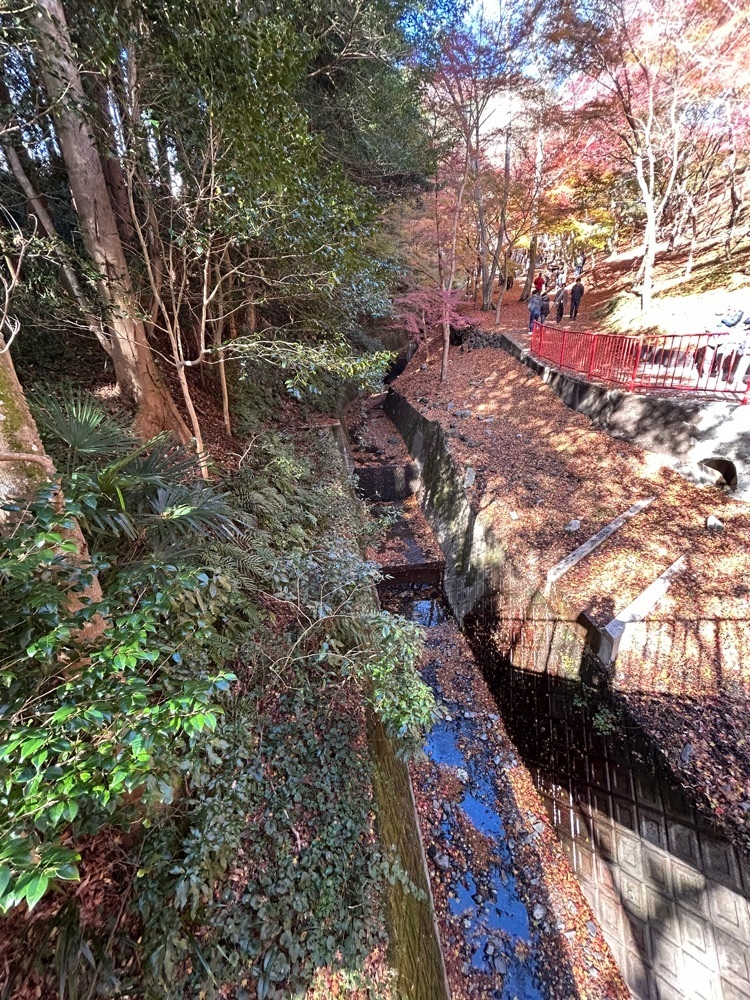 powerful_walking_41b6さんが投稿したTabist　みや　四日市水沢に関する口コミの画像