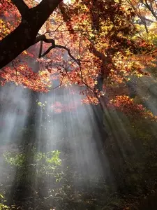 神藏寺