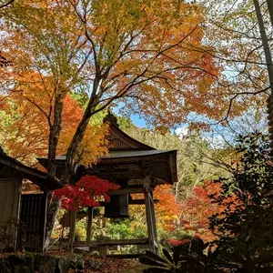 天開山口窄泰運寺