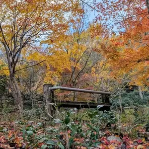 天開山口窄泰運寺