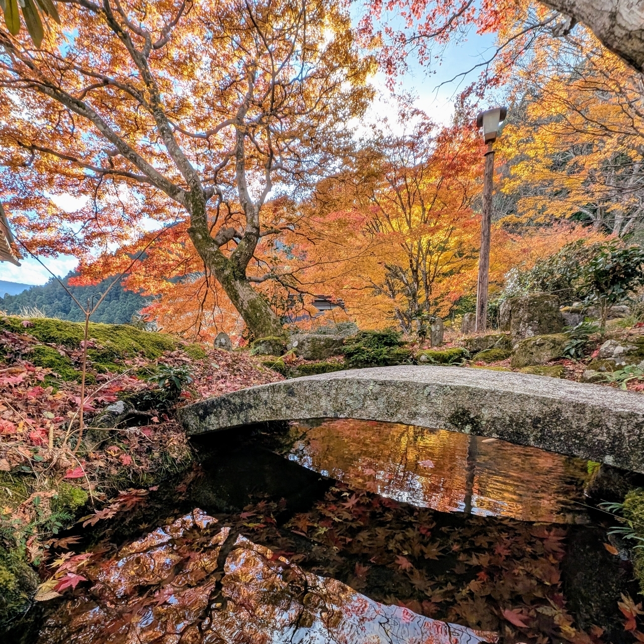 ぬっくさんが投稿した天開山口窄泰運寺に関する口コミの画像
