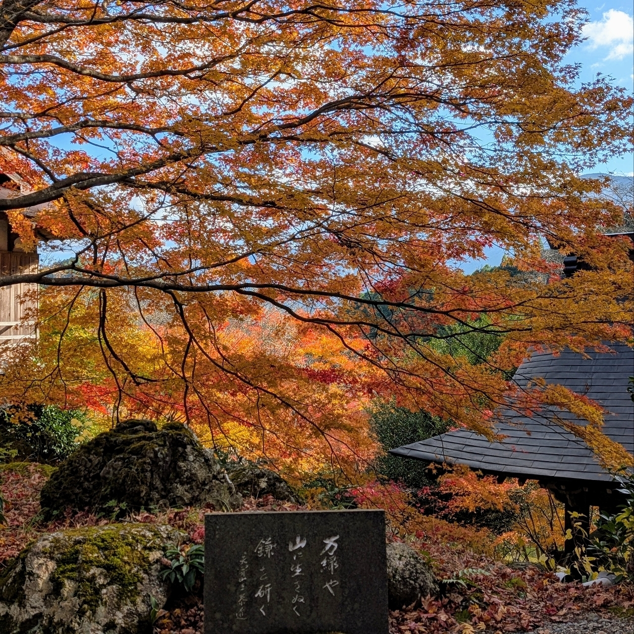 ぬっくさんが投稿した天開山口窄泰運寺に関する口コミの画像