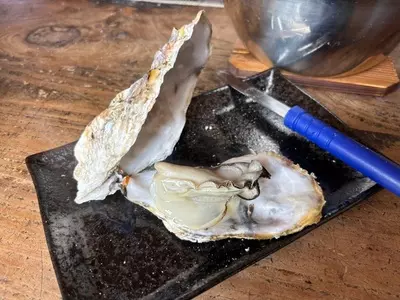 コーストテーブル（coast table）