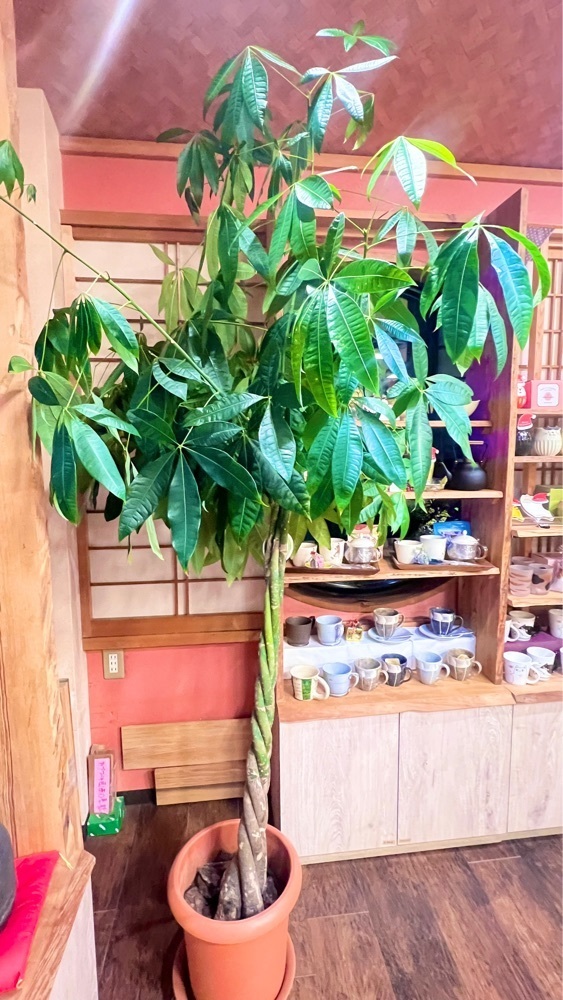 miiさんが投稿したおづつみ園 ふじ通り店に関する口コミの画像