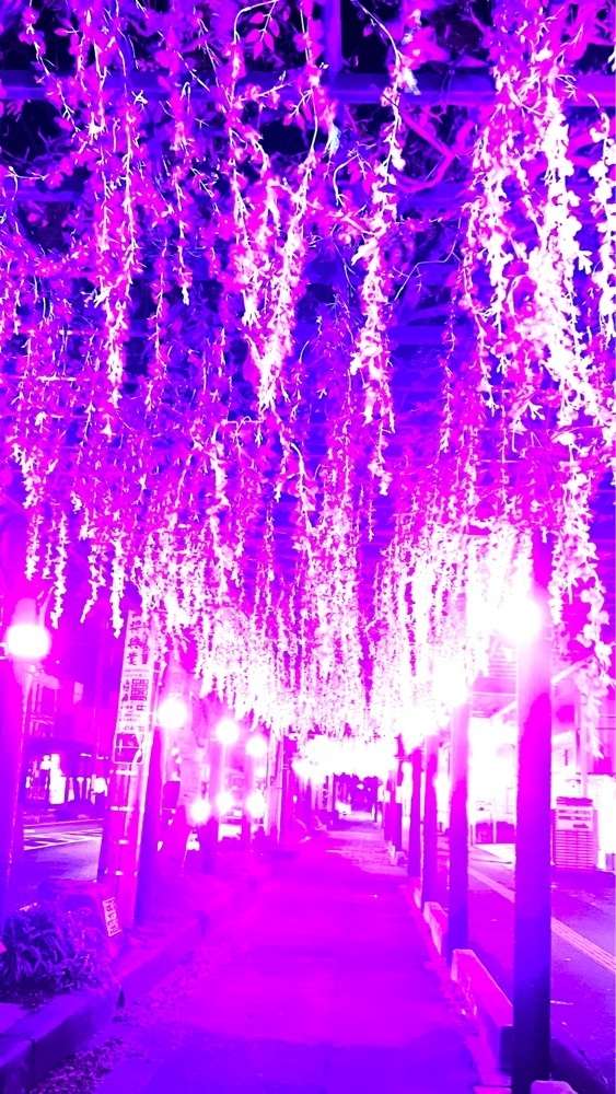 miiさんが投稿したおづつみ園 ふじ通り店に関する口コミの画像