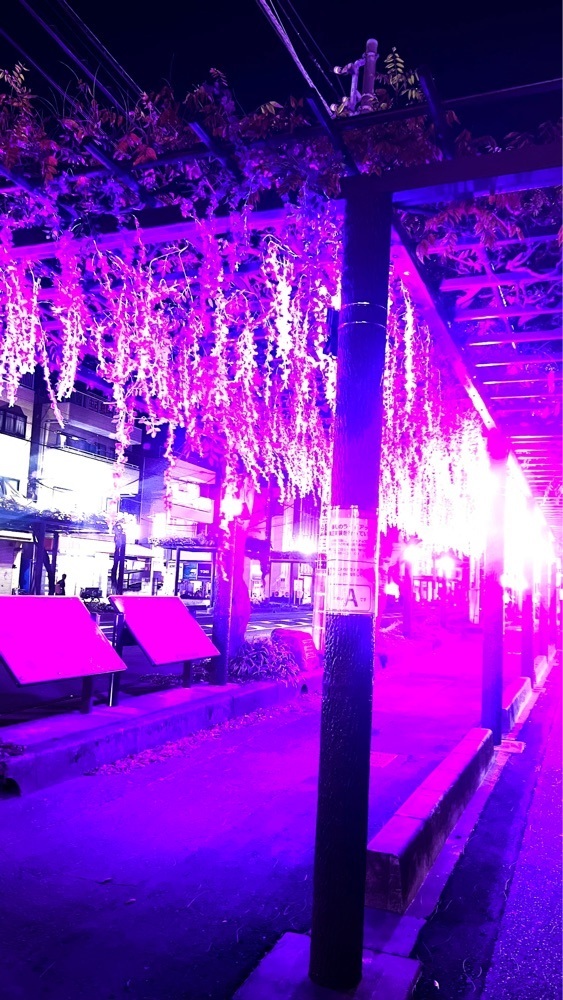 miiさんが投稿したおづつみ園 ふじ通り店に関する口コミの画像