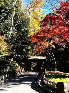 城山庵 お憩み処