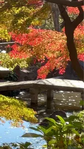 県立大磯城山公園