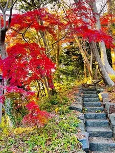 城山庵 お憩み処