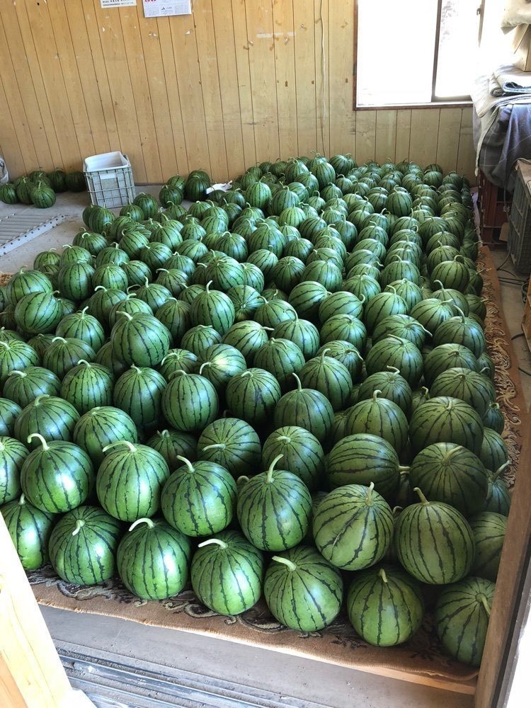 からっ風②さんが投稿したセブンイレブン 太田市六千石町に関する口コミの画像