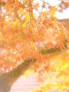 宮崎県総合文化公園