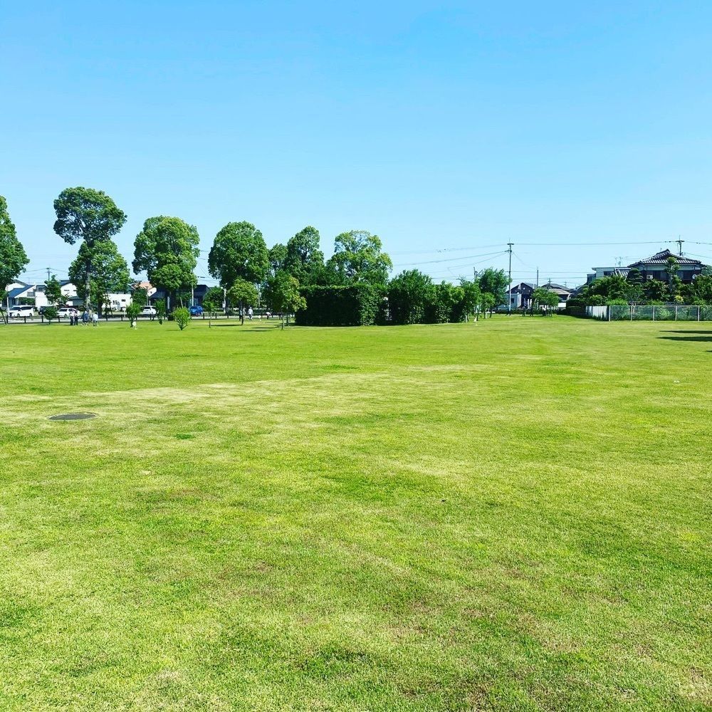 Rhapsodyさんが投稿した川の駅船小屋 恋ぼたる 物産館に関する口コミの画像